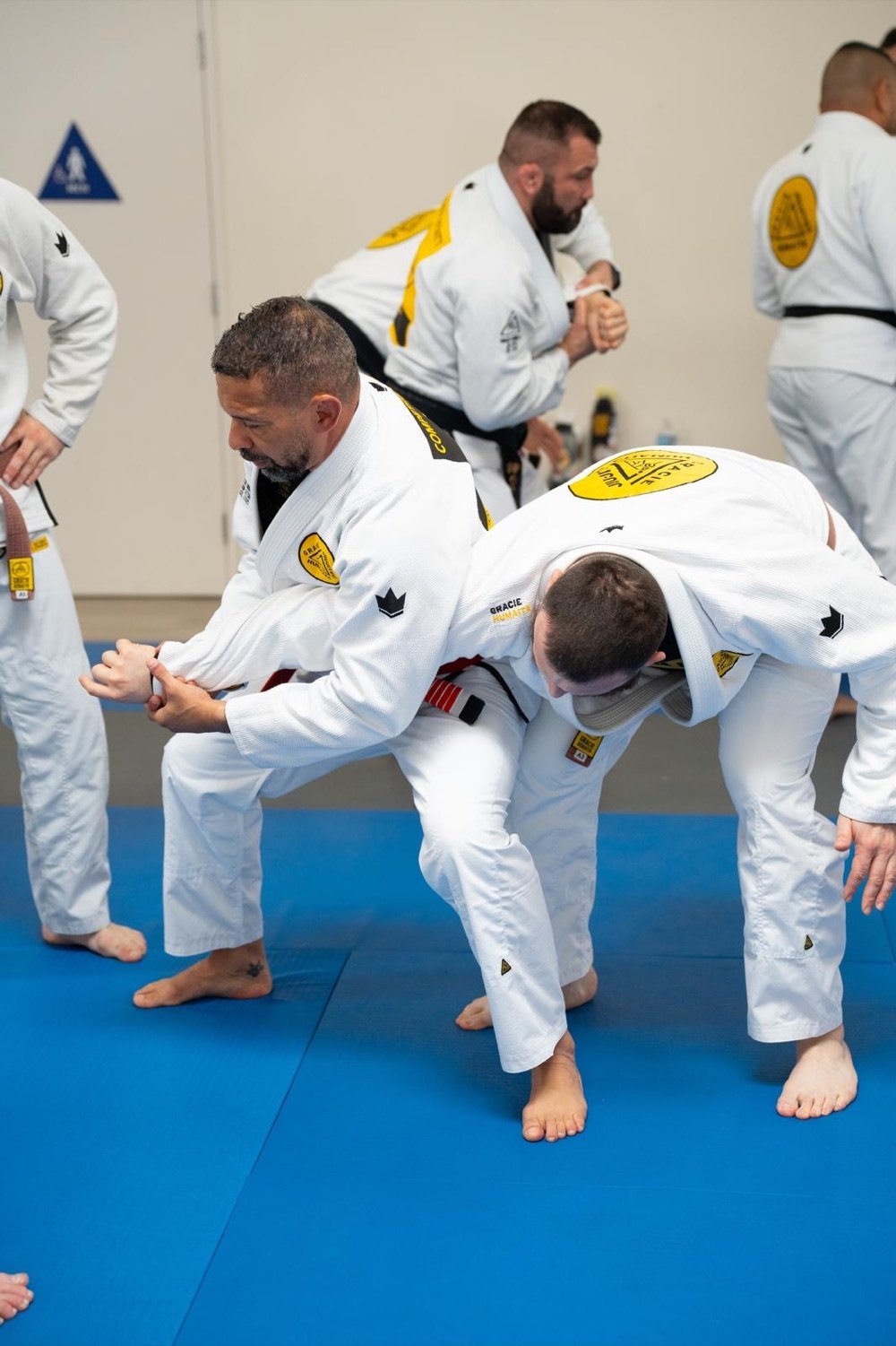 Gracie Self-Defense
